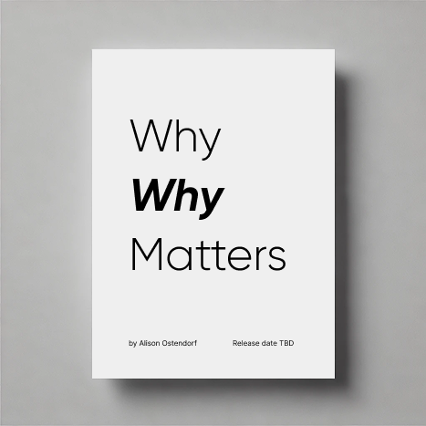 Why Why Matters book cover showing minimalist design with title
